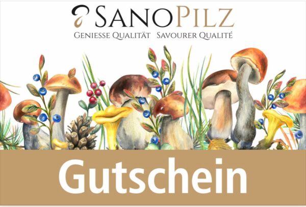 Gutschein Zuchtpilzkurs