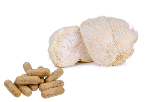 Igelstachelbart / Hericium Erinaceus