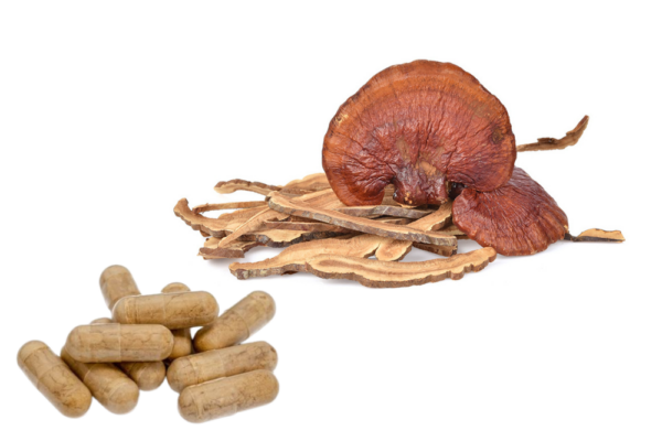 Reishi / Ganoderma lucidum