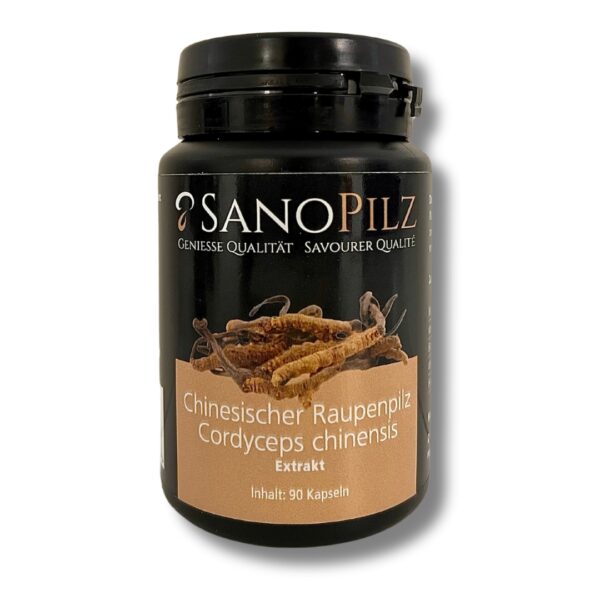 Chinesischer Raupenpilz / Cortyceps chinensis